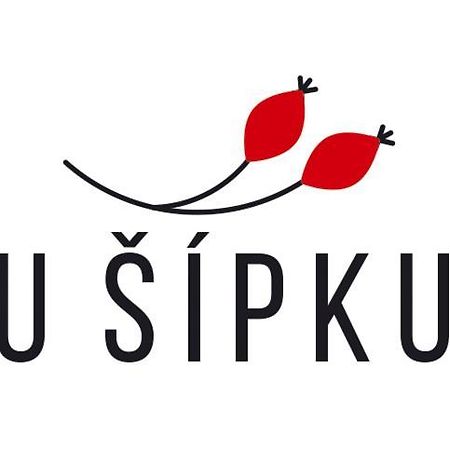 מלון Krásná Lípa Dum U Sipku מראה חיצוני תמונה